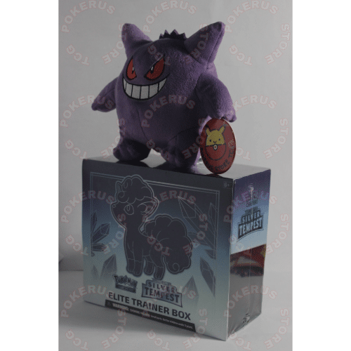 SilveTempestMarcaAgua-3